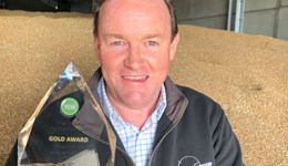 YEN Wheat Quality Award winners triumph over challenging season